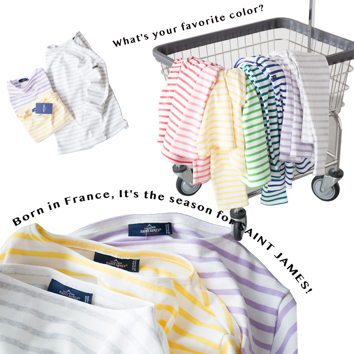 2025年春夏のイメージ写真